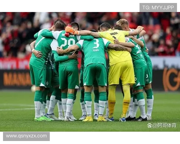 德甲球队收入构成：财务报告与收入来源分析