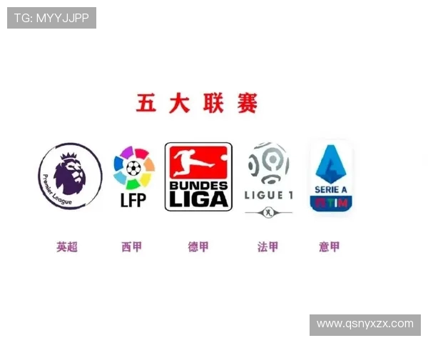 法甲球队2024年管理方法创新及运营效率提升报告